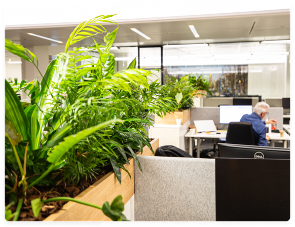 We verminderen onze CO2-voetafdruk