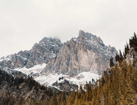 Dit is een faketekst.s